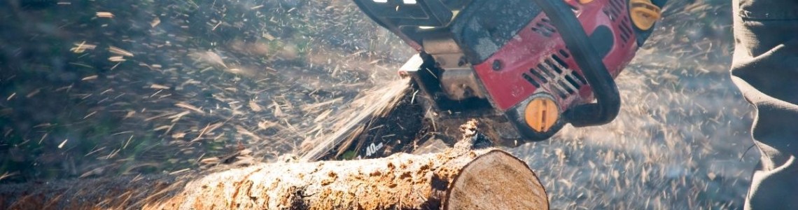 По какво се различават електрическата и бензиновата резачки? По какво се различават електрическата и бензиновата резачки?